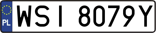 WSI8079Y