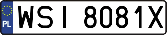 WSI8081X