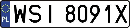 WSI8091X