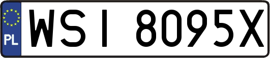 WSI8095X