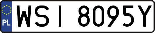 WSI8095Y