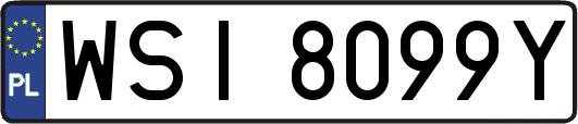WSI8099Y