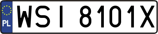 WSI8101X