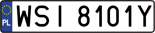 WSI8101Y