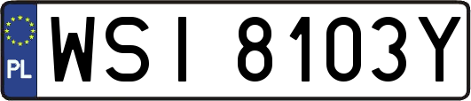 WSI8103Y