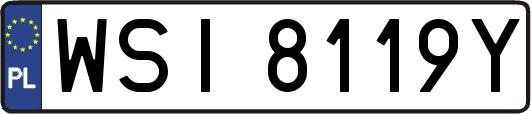 WSI8119Y
