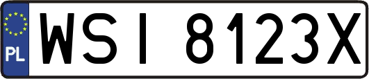 WSI8123X
