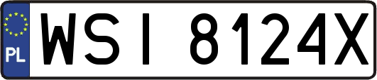 WSI8124X
