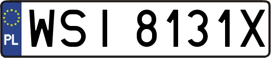 WSI8131X