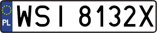 WSI8132X