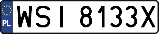 WSI8133X
