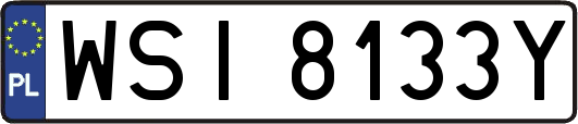 WSI8133Y