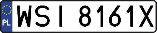 WSI8161X