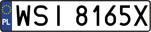 WSI8165X