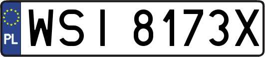 WSI8173X