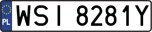WSI8281Y