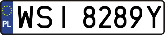 WSI8289Y