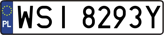 WSI8293Y
