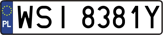 WSI8381Y