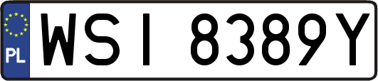 WSI8389Y