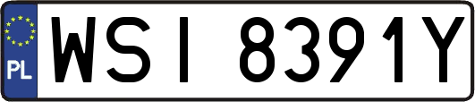 WSI8391Y