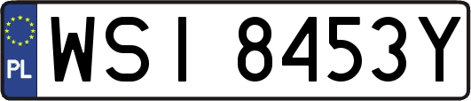 WSI8453Y