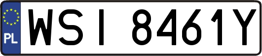 WSI8461Y