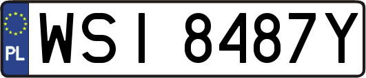 WSI8487Y