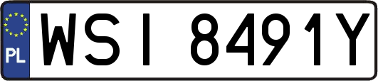 WSI8491Y