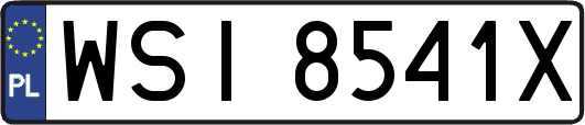 WSI8541X