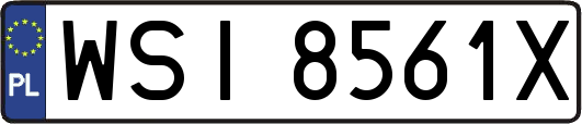 WSI8561X