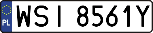 WSI8561Y