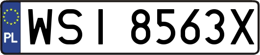 WSI8563X