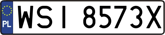 WSI8573X
