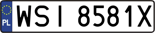 WSI8581X