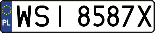 WSI8587X