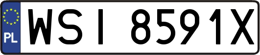 WSI8591X