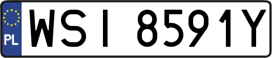 WSI8591Y