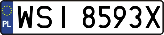 WSI8593X