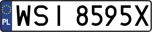 WSI8595X
