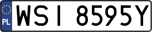 WSI8595Y