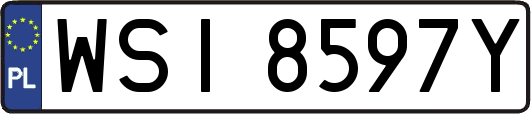 WSI8597Y