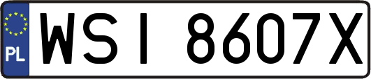WSI8607X