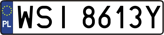 WSI8613Y