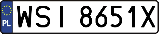 WSI8651X