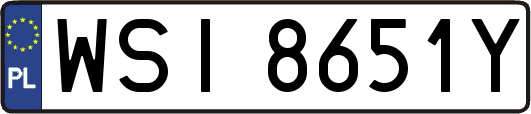 WSI8651Y