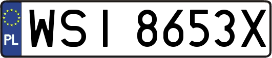WSI8653X