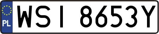 WSI8653Y