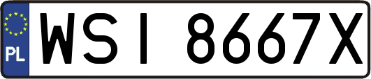 WSI8667X