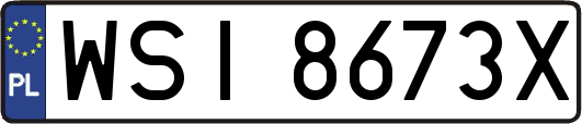 WSI8673X